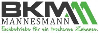 bkm mannesmann logo